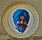 Logo Taj Mahal Mr. Indian House